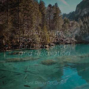 Soulfire's Ascension