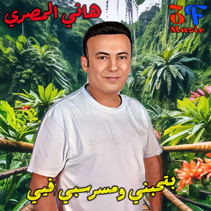 Bethebni Wemsarsabi Feyi