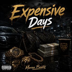 Expensive Days