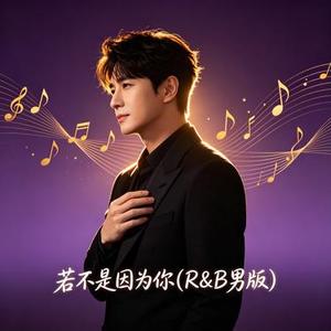 若不是因为你 (Remix)