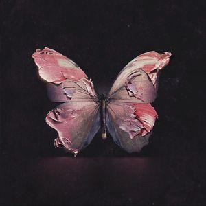 萌系少女直球法则