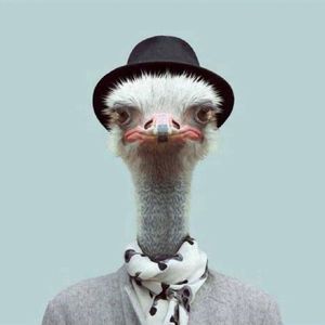 羽染云端之绮梦幻音