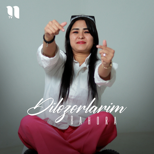 Dilozorlarim