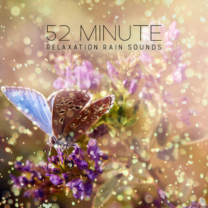 Majestic Rain Sounds with Thunder Cracks