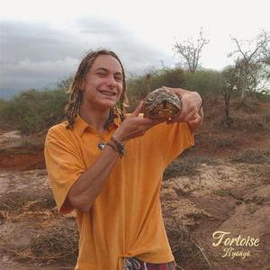 Tortoise