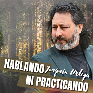Hablando Ni Practicando (Fandangos por Sevillanas)