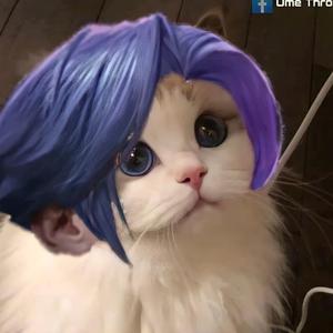 Đoạn Tuyệt Nàng Đi