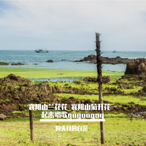 星座之谜的探索