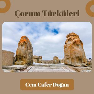Şu Uzun Gecenin Gecesi Olsam
