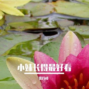 养家糊口千斤担