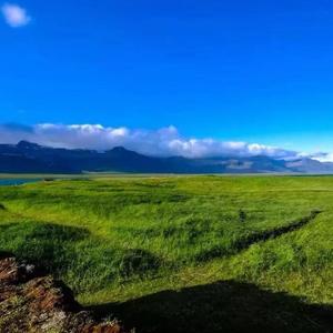 《日本人爱草原美景》