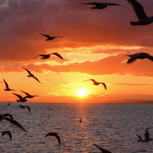 [FREE]"DUSK"-Chill Type Beat