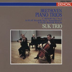 ピアノ三重奏曲第3番 ハ短調 作品1の3: I. Allegro con brio