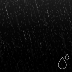 Into The Rain