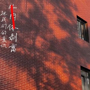 虽然我只是一棵树