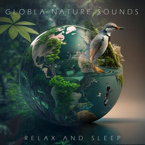 Sweden Bromma Night Sound