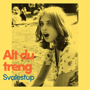 Alt du treng