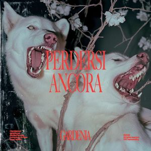 Con il cuore in fiamme che non brucia del tutto