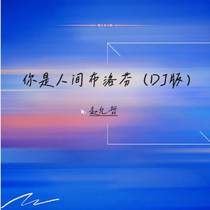 你是人间布洛芬 (DJ版)