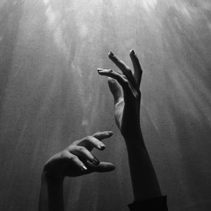 我的主人，愿您安息