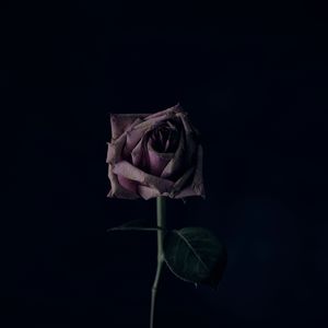 [Free]"闲云Idle"R&B x Pop x 马思唯 xJony J type beat