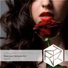 Soundwave (CHN) - Rose and Vampire Girl (Radio Edit)