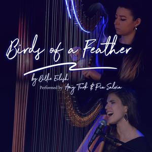 Birds of a Feather (feat. Pia Salvia)