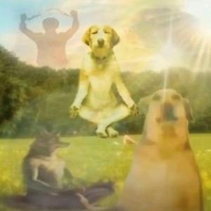 7am (feat. weloveyoumax)