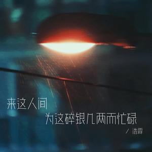 来这人间为这碎银几两而忙碌