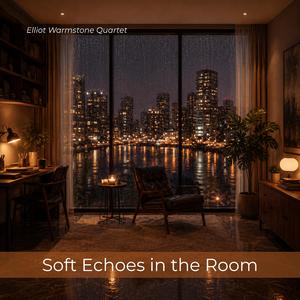 Soft Echoes Inside