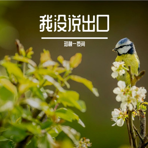 我没说出口
