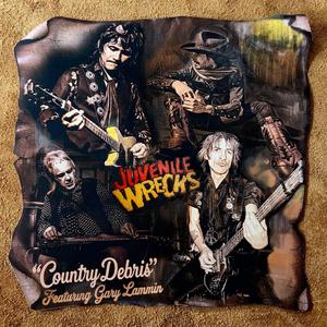 Country Debris (feat. Gary Lammin, Bam & Share Ross) (Radio Edit)