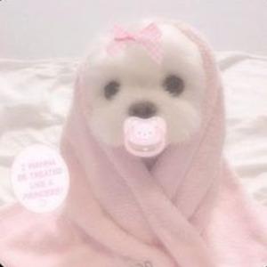 Danza Kuduro - Slowed+Reverb