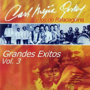 Un Gajo de Chilincocos