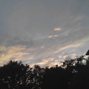 No Heart of Gold (Feeling Whitney)