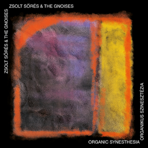 Ear of the Needle (Imagine)