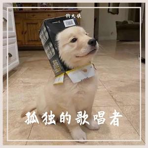 男孩别哭（翻自 群星）