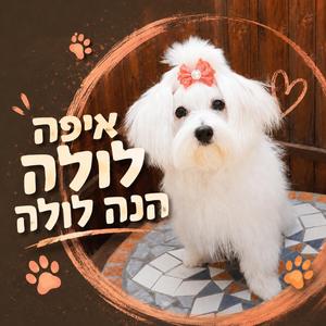 איפה לולה הנה לולה
