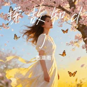 探故知dj (Cover 浅影阿/汐音社)