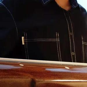 卧龙吟（古琴片段）