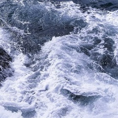 你是第一个让我心动的人