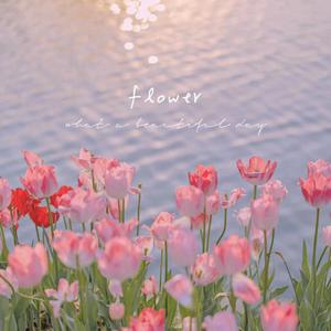 冬眠（Cover司南）（翻自 司南）