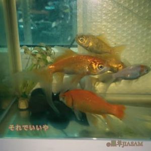 それでいいや（这样就好）