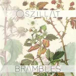 Brambles (Radio Edit)