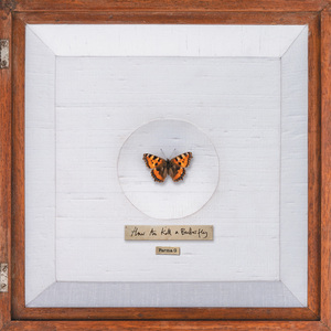 Say It How You See It