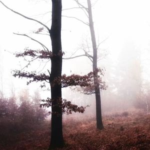 写在风中的信（变速版）