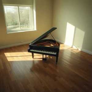 从此我爱财爱己不爱你