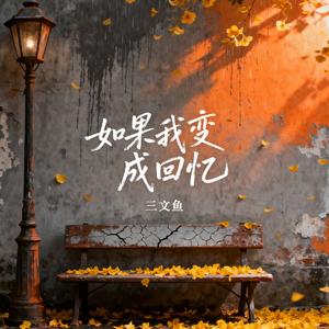 如果我变成回忆