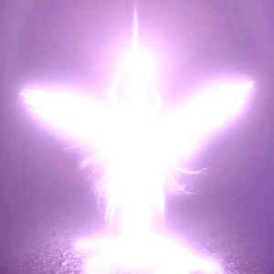 新年快乐Happy New Year