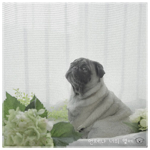 언제나 너의 옆에